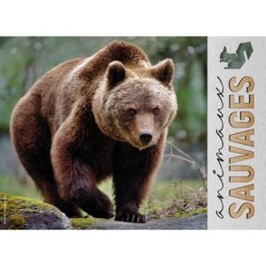 ANIMAUX