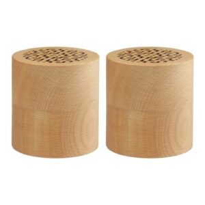 Set de 2 enceintes WOODSTOK