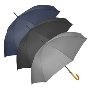 Parapluie ville CHARMANT