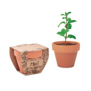 MINT POT Pot avec graines de menthe