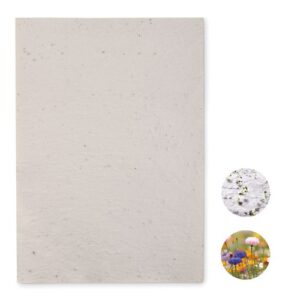 ASIDI Papier A4 graines de fleurs