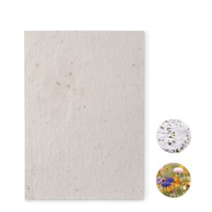 ASIDE Papier A5 graines de fleurs